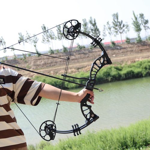 MOYJ Kid Compound Bow and Arrow Set Archery Shooting Practice Outdoor Party Complete Set Adjustable LBS Youth and Beginner 15-45LBS Draw Weight Adjustable (Black)