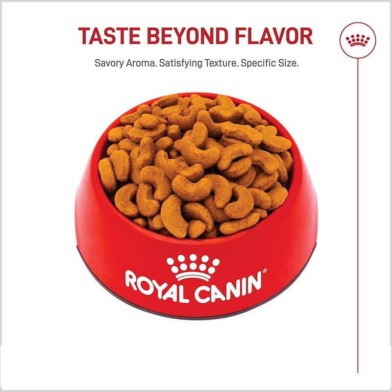 Royal Canin French Bulldog Adult Dry Dog Food 6 lb Bag - 6 Pound (Pack of 1)