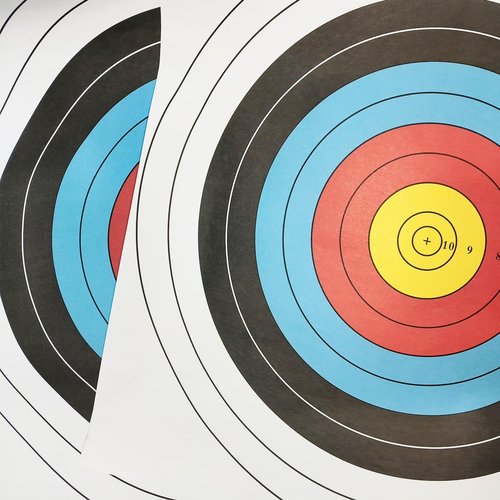 THREE ARCHERS Archery Targets Paper for Backyard Standard Target Face 40cm 10 Ring Bow and Arrow Target for Hunting & Shooting Archery Accessories for Target Practice (30pcs Archery Targets)