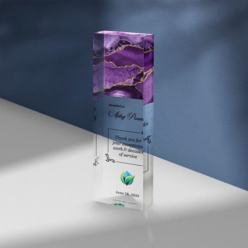 Suseaz Personalized Award Corporate Trophy Award, Customizable Acrylic & Glass Award, for Company Anniversary, Employee Appreciation, Awards Ceremony Logo (AW7)