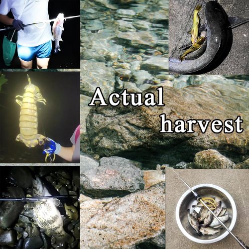 SUFFUSE Lightweight Anti-Corrosion Speargun, Spearfishing, Harpoon Crabbing Equipment, Especially Designed Spear Gun Fishing Gear for Fish Frog and Mole (Package A)
