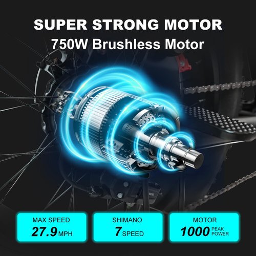Electric Bike for Adults, 48V 18.2AH Electric Motorcycle Long Seat Electric Bicycle Full Suspension 20" Fat Tire Ebike Max 28MPH& 30-60 Miles All Terrain E-Bike for Mountains, Sand, Road (48V 750W)