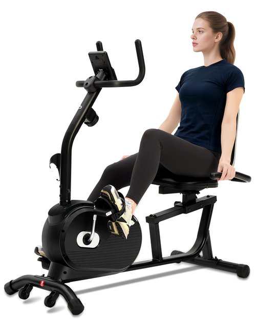 ECHANFIT Recumbent Exercise Bike for Home - 380LBS Weight Capacity, Exercise Bike with Smart Workout APP, 16-Level Magnetic Resistance, Backlit Display, Comfortable Seat