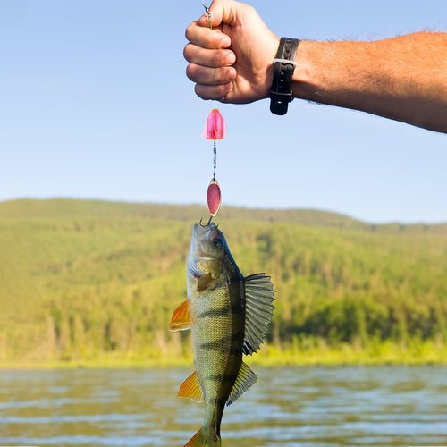 FCKLVMC 30 Pcs Catfish Rattles, Built-in 15 Ringing Beads Fishing Rattles for Catfishing, Compact Portable Catfish Rattle for Outdoor Fishing