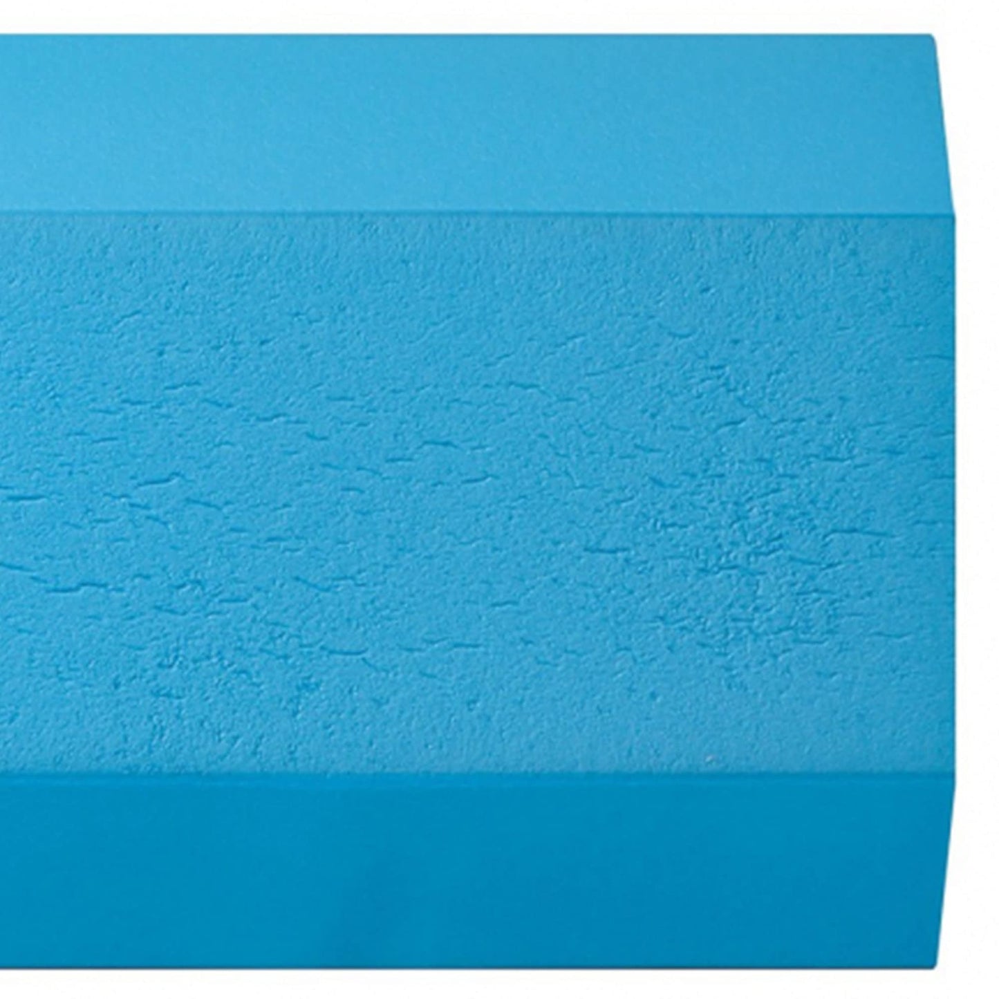 AIREX Balance Pad – Stability Trainer for Balance, Stretching, Physical Therapy, Exercise, Mobility, Rehabilitation and Core Training Non-Slip Foam Premium Balance Pad,Blue