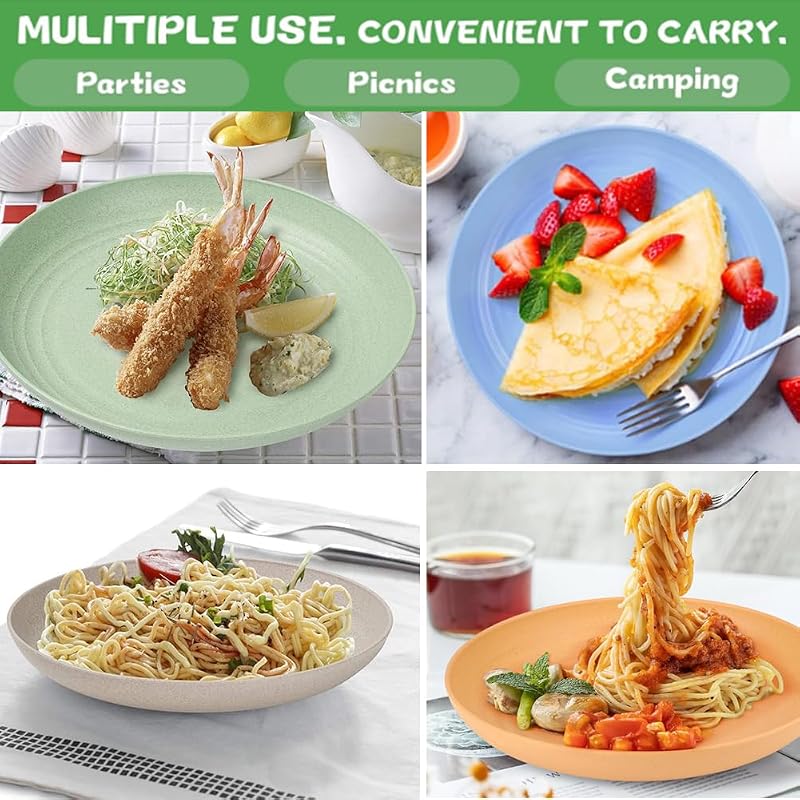9 Inch Unbreakable Wheat Straw Plates - Reusable Dishwasher Safe Plate Set (Variation: Plate-9in)