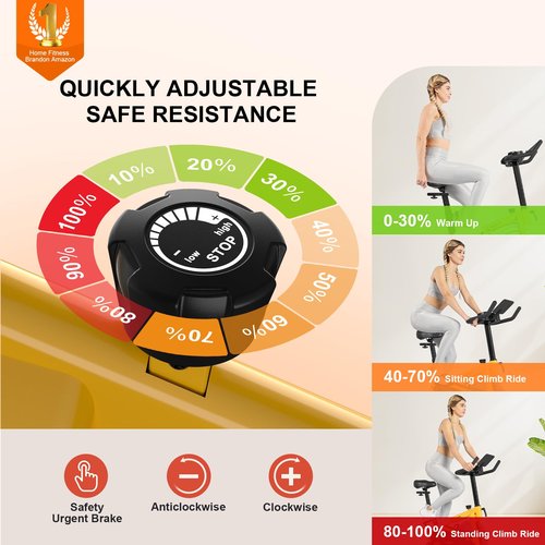 Exercise Bikes for Home,Indoor Cycling Bike with Adjustable Magnetic,Brake Pad Resistance Silent Belt Drive,330lbs Weight Capacity &Upgraded Version Seat for Home Cardio&Weight Loss(Classical Exercise Bikes Plus)