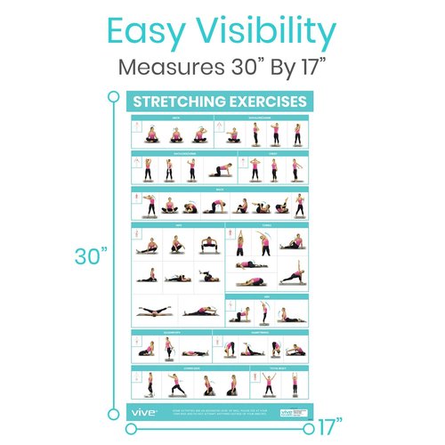 Vive Workout Posters for Home Gym - 52 Streching Exercises Full Body Workout - Laminated Pre Post Routines Wall Chart - Bodyweight Poses Instruction Guide for Core, Abs, Legs, Glutes, Upper Body