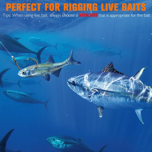 Dovesun Circle Hooks Saltwater 20pcs, 3X Strong Circle Fishing Hooks for Catfish in-line Catfish Hook for Striper, Mackerel, Bass, Tuna 12/0