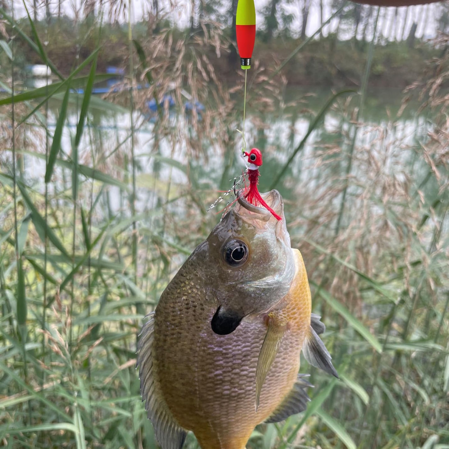 Bombite Weighted Bobbers for Fishing Floats EVA Foam Snap-on Fishing Bobbers for Crappie Bluegill Panfish Trout Catfish Bass 10 Packs 2.5in