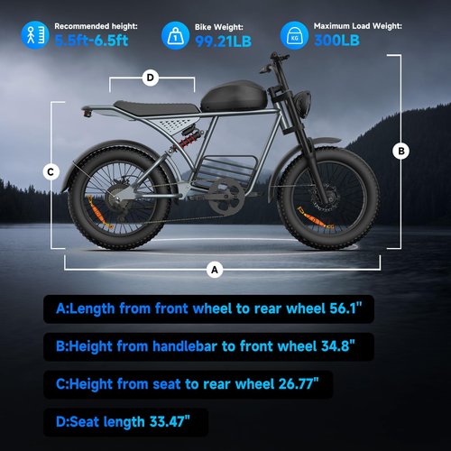 Retro Electric Bike for Adults,1000W-1600W(Peak Power) Electric Dirt Bike,35MPH 60Miles E Bikes Ridstar, 20" Fat Tire Adult Electric Bicycle with 48V 18.9AH Battery, 7 Speed E Bike