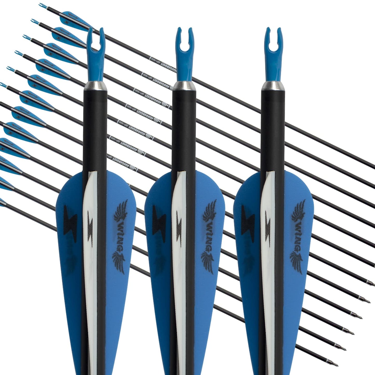 31inch Carbon Arrow Archery Targeting Practice Hunting Arrows for Compound & Recurve Bow with Removable Tips(Pack of 12) (Blue White)