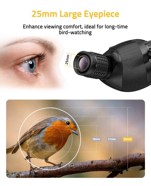 CVLIFE 20-60x80MM Spotting Scope, Spotting Scopes for Target Shooting, BAK4 HD Waterproof Spotter Scope for Birding and Wildlife with Tripod, Phone Adapter and Carrying Bag, Black