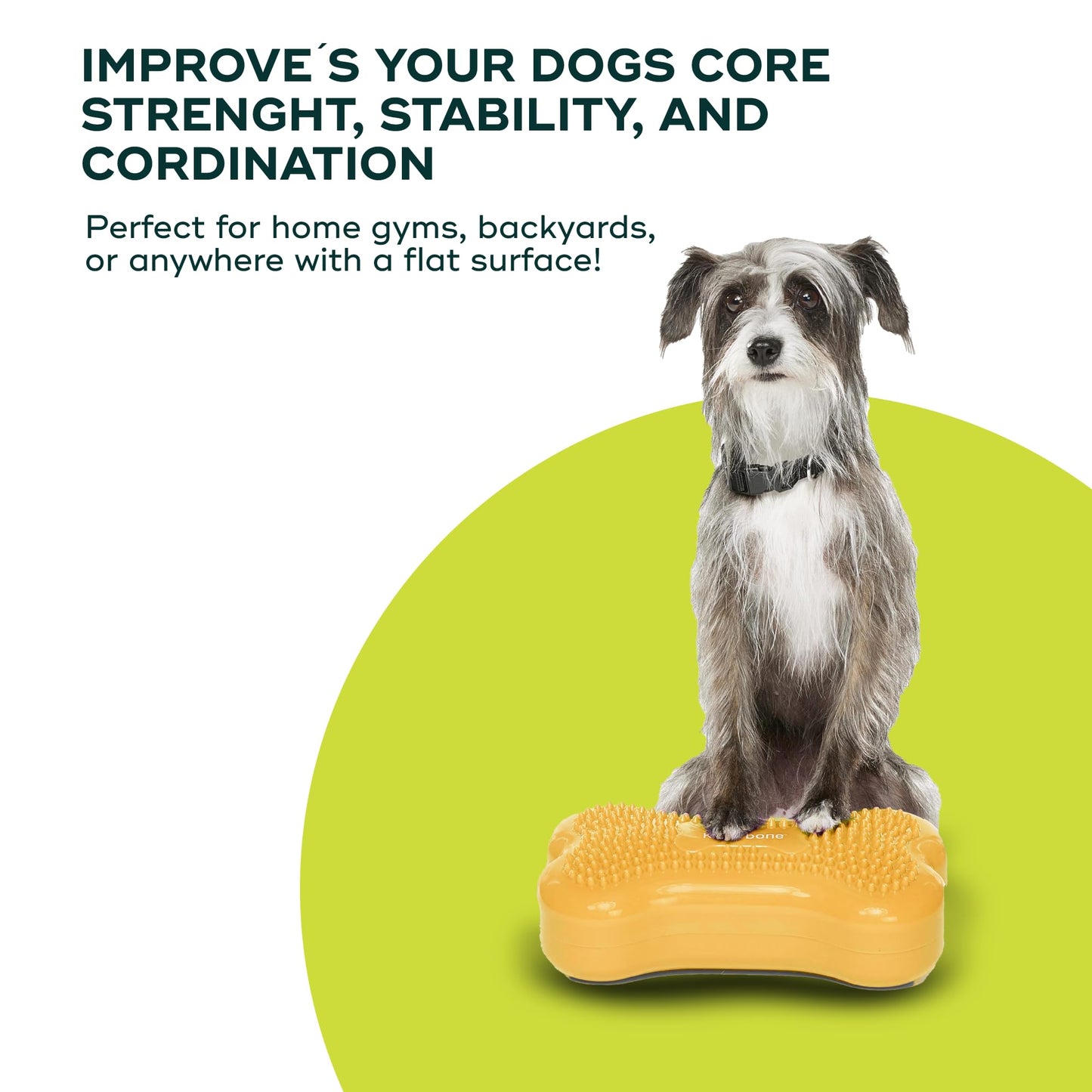 FitPaws® Mini K9FITbone® Dog Balance and Exercise Equipment, Mango, 2-Pack