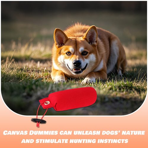 LovelyPaws 2 Pcs Canvas Dog Bumpers Training Dummy Floating Toys, Hunting Dog Training Tool, Weighted Bumper for Easy Throwing