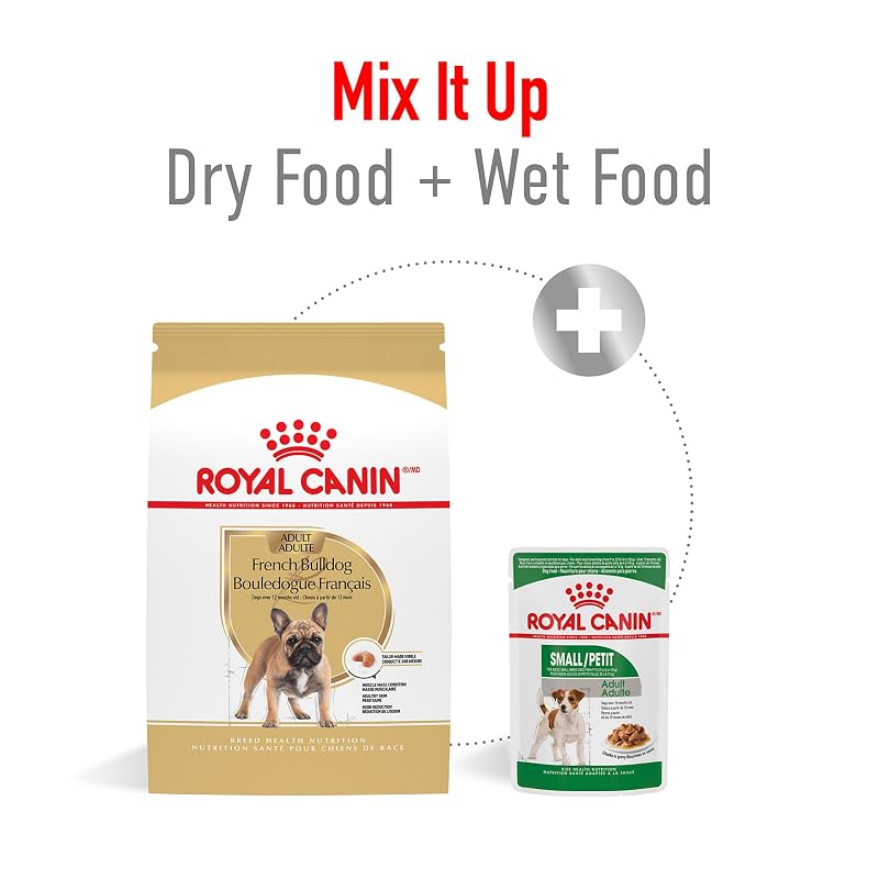 Royal Canin French Bulldog Adult Dry Dog Food 6 lb Bag - 6 Pound (Pack of 1)