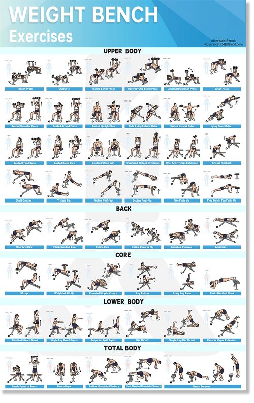 MCNBLK Fitness Bench Poster - Adjustable Benches Body Building Guide-LAMINATED, 17" x 27"