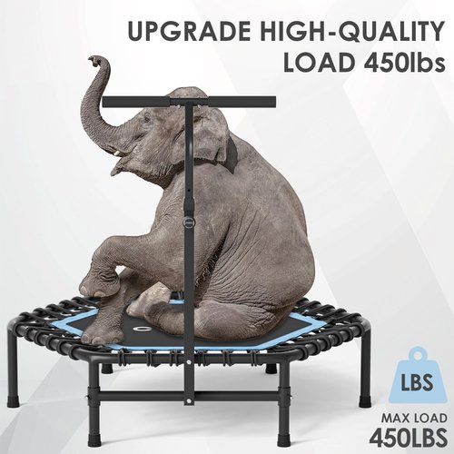 CLORIS 45'' Fitness Trampoline - Max Load 450lbs, Rebounder with Adjustable Foam Handle Indoor/Outdoor Fitness Body Exercise (Blue)