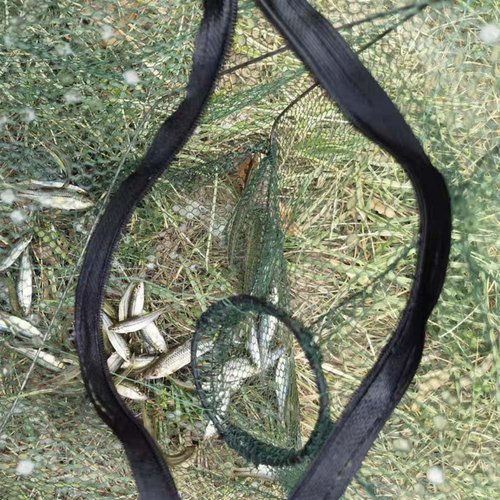 FASPLORE 2 Pcs Collapsible Fishing Bait Trap Nets