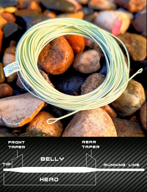 RIFT Explorer WF Fly Fishing Line Kit Dual Welded Loops 3 5WT Fly Fishing Line Pre-Tied Leader Braided Backing Tippet Fish Line