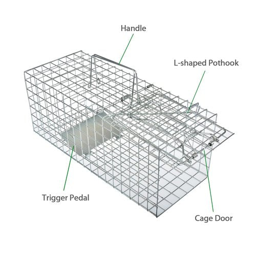 Anyhall Heavy Duty Humane Live Animal Cage Trap for Squirrels, Weasels and Similar-Size Rodents - 17” x 7” x 7”