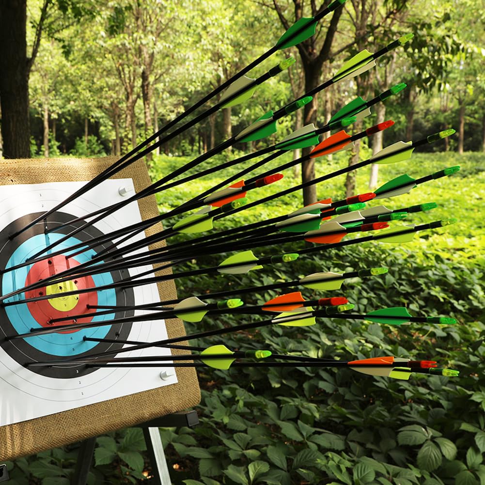 28" Fiberglass Arrows, Archery Practice Target Arrows for Youth Beginners