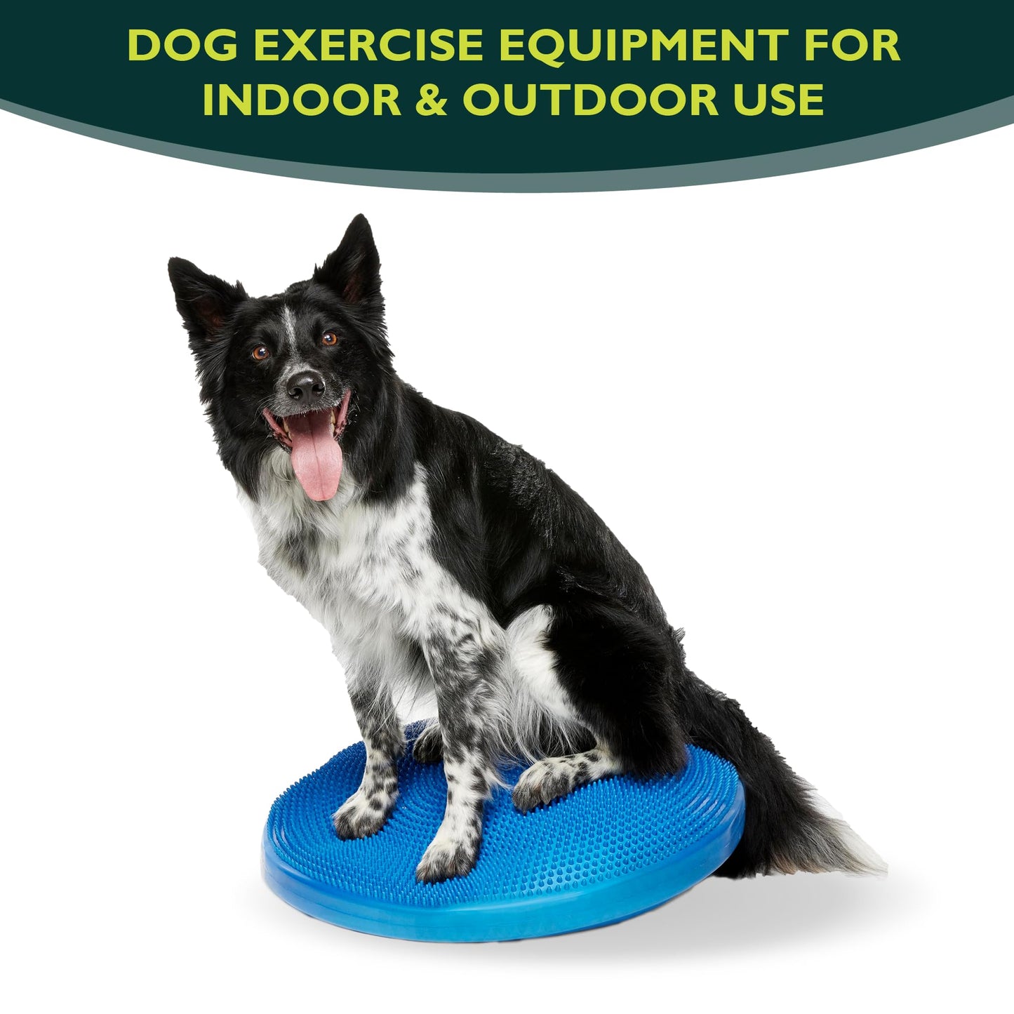 FitPAWS® Dog Balance Disc – 22”, Blue | Dog Exercise Equipment | Workout Tool for Strength, Core, Stability & Rehabilitation