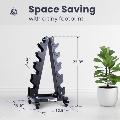 LIONSCOOL Premium Dumbbell Rack Only, with Side Racks for Neoprene/Vinyl Coated Dumbbells Only (Small, 200 LBS)