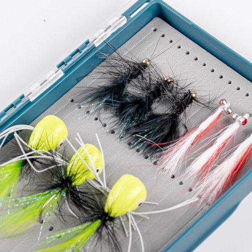 SF Fly Fishing Box Magnetic Closure Streamer Foam Polycarbonate Material Clear Lid Trout Flies Fly Box For Nymphs Fly Box Liner