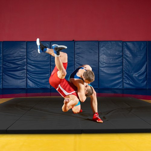 BalanceFrom Folding Gymnastics Mat, Thick Home Gym Floor Tumbling Equipment, Black - Portable Exercise and Workout Pad for Pilates, Aerobics, and Martial Arts Fitness Training