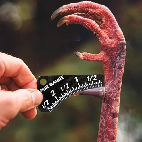 AEDNX Wild Turkey Spur Gauge,Precision Tool for Measuring Turkey Spur Length and Age Determination,Spur Gauges Tool,Turkey Hunting Accessories Gift for Hunters & Outdoor Enthusiasts (Black-2PCS)