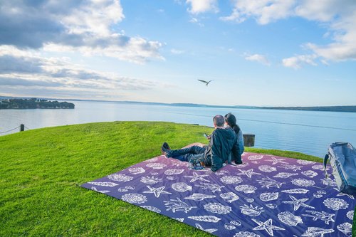 WEKAPO Beach Blanket Waterproof Sandproof & Sand-Free Beach Mat with Stakes & Built-in Storage Bag – Oversized, Extra Large, Perfect for Outdoor (Deep Blue Sea Shells, 11 X 9 FT (1~10 Person))