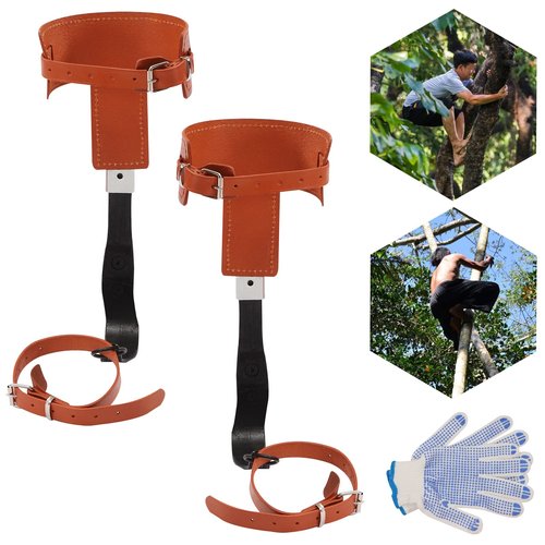 AKSDSGA Tree Climbing Gear, Cowhide Leather Tree Climbing Spikes Set Height-Adjustable Tree Climbing Spurs, Safety Belt Gloves for Tree Work, Tree Trimming, Tree Cutting, Logging Hunting Picking Fruit