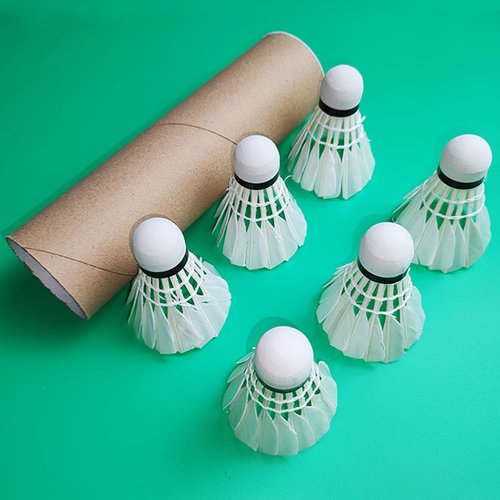 DIIOOMIEEU 12 Pcs Professional Duck Badminton Shuttlecocks High Speed Training Badminton Ball Shuttlecock