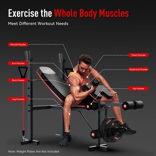 HARISON 6 in 1 Weight Bench Set with Leg Extension and Preacher Curl, 660LBS Workout Bench Press Rack for Home Gym with Resistance Bands
