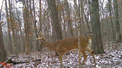 Wildgame Innovations 24MP Terra XD