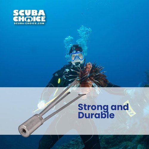 Scuba Choice 6" Stainless Steel Spearfishing Pole Spear Tip, 3-Prong Paralyzer Head with Barbs, 7mm Thread, Durable Replacement for Spearguns, Palantic 3" Speargun Tip Compatible