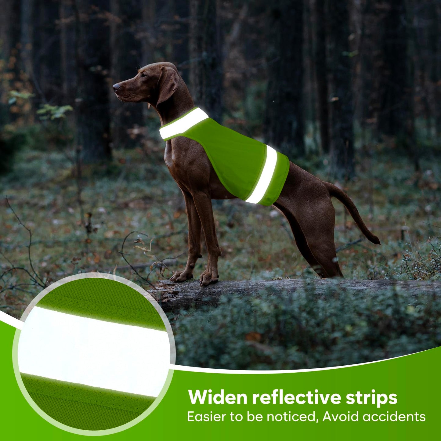 2 Pieces Dog Hunting Vest Reflective Safety Vest Adjustable,High Visibility Jacket Make Your Dog More Visible and Safety from Hunter (Fluorescent Green&Blaze Orange,M)