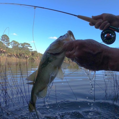 Kylebooker 3wt Fly Fishing Rod with Tube, 4-Sections, Medium-Fast Action Lightweight Fly Rod IM7 Carbon Fiber Blank（3wt 7‘6“）