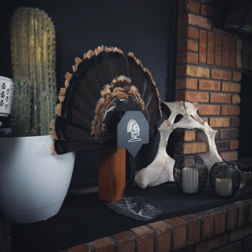 FeatherLok Turkey Fan Mount Kit – No-Screw Customizable Turkey Mounting Plaque | Adjustable Turkey Fan Display – Easy DIY Turkey Plaque Mount