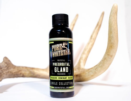 Pure Whitetail Preorbital Gland Scent | Deer Forehead Gland Scent | Natural Deer Scent | Mock Scrape Scent | Makes a Licking Stick for Deer | 2 oz Bottle