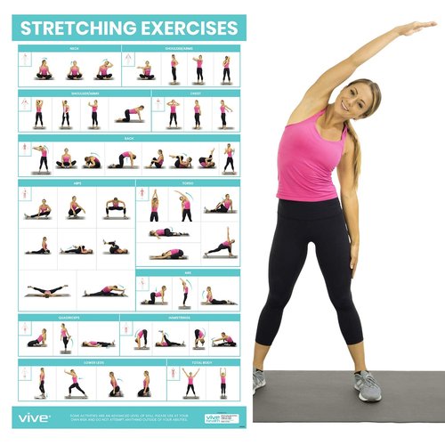 Vive Workout Posters for Home Gym - 52 Streching Exercises Full Body Workout - Laminated Pre Post Routines Wall Chart - Bodyweight Poses Instruction Guide for Core, Abs, Legs, Glutes, Upper Body