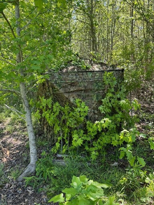 Ghilliemonster Leafy Pop-Up Hunting Blind