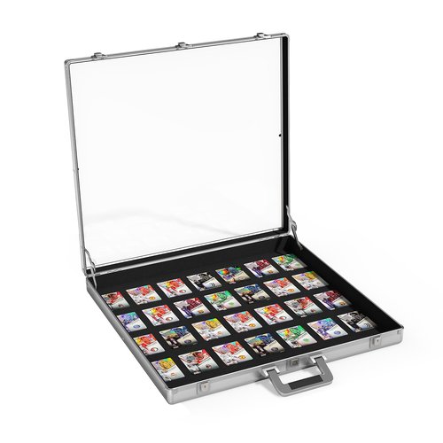 YAGEANNL Portable Trade Show Display Case, 24'' x 20'' Card Show Display Case with Locks, Aluminum Showcase for Cards, Jewelry, Pastry Display