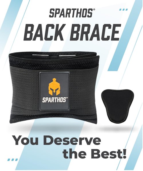 Sparthos Back Brace for Lower Back Pain - Immediate Relief from Sciatica, Herniated Disc, Scoliosis - Breathable + Lumbar Support Pad - For Men & Women - Fits 44–52″ Waist (Large, Check Size Chart)
