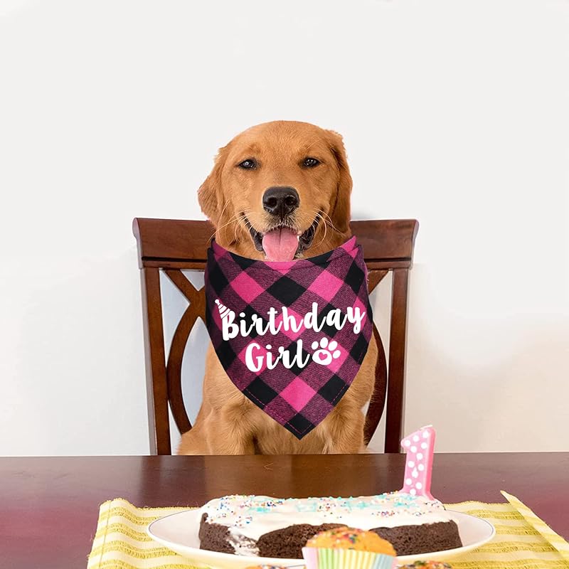 Birthday Boy/Girl Buffalo Plaid Dog Bandana - Blue & Pink (Variation of THIS listing)