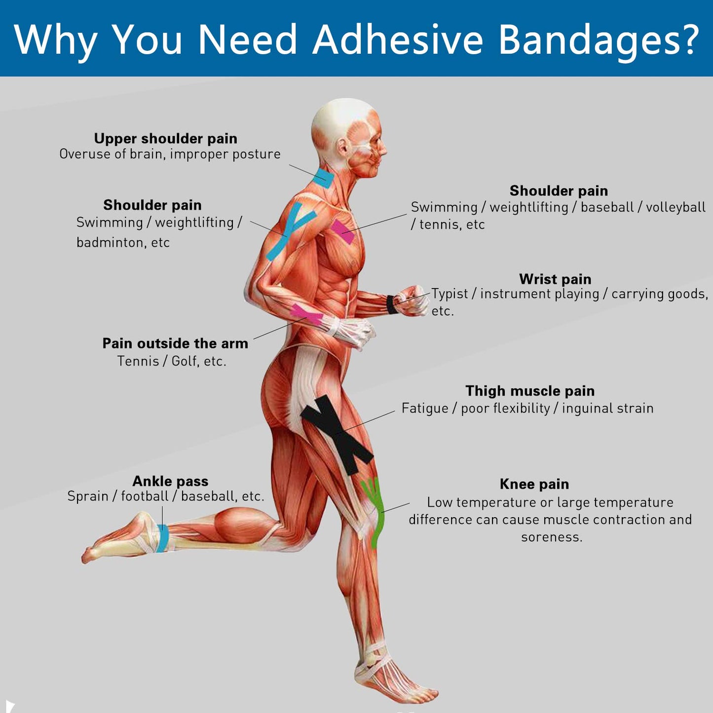 Self Adherent Cohesive Bandages Wrap 6 Count 2" x 5 Yards, Medical Tape, Adhesive Flexible Breathable First Aid Non Woven Rolls, Stretch Athletic, Ankle Sprains & Swelling, Sports