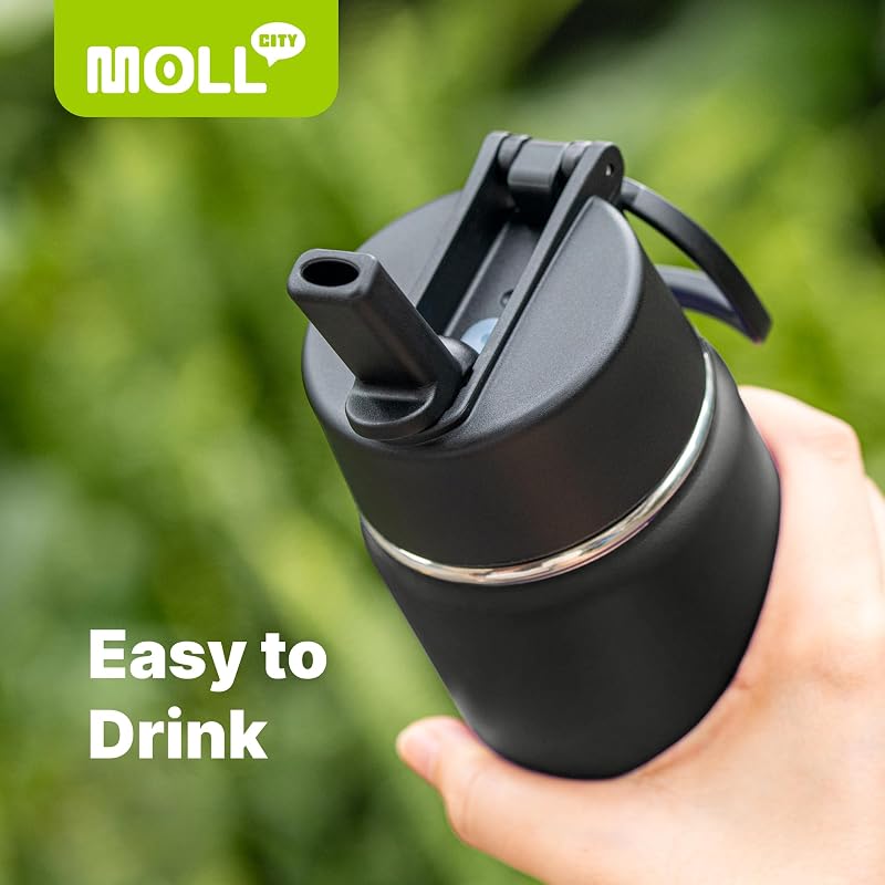 Water Bottle with Straw - 12 Oz Black, BPA Free, 18/8 Stainless Steel, Mollcity