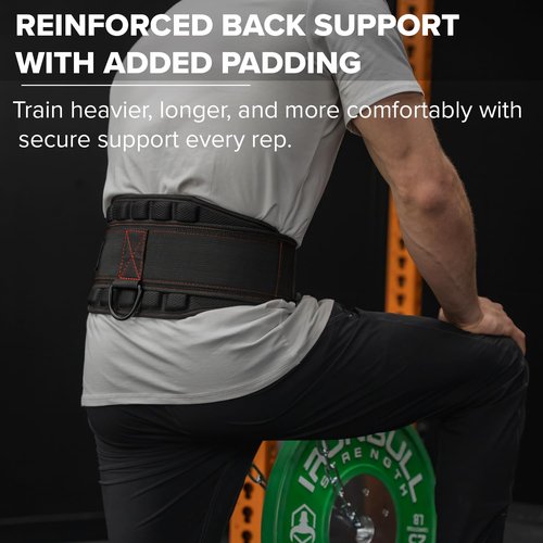 Advanced Dip Belt V2 – Heavy-Duty Weighted Belt with Reinforced Back, Chain & Nylon Strap – 3-Point Anchor D-Rings for Dips, Pull-Ups, Squats & More (Large)