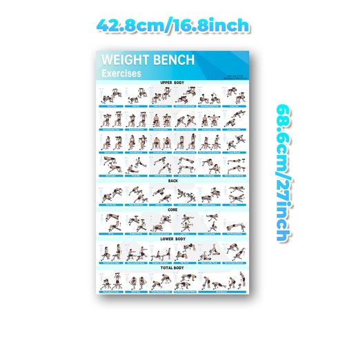 MCNBLK Fitness Bench Poster - Adjustable Benches Body Building Guide-LAMINATED, 17" x 27"